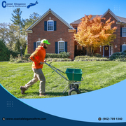 Lawn care and Landscaping services | Coastal property maintenance